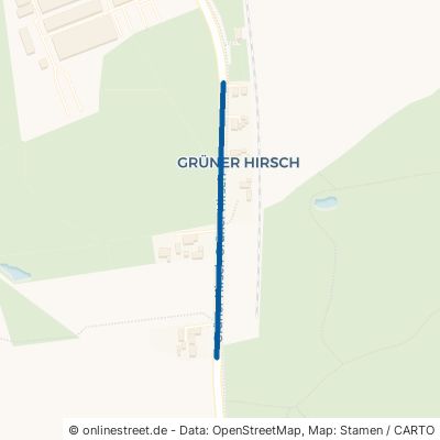 Grüner Hirsch Lensahn 