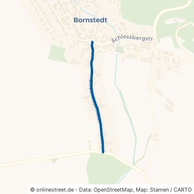Bauernsteinstraße 06295 Bornstedt 