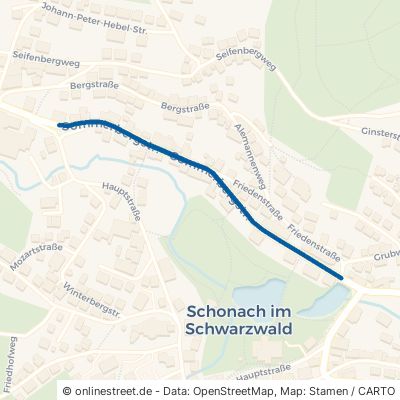 Sommerbergstraße 78136 Schonach im Schwarzwald 