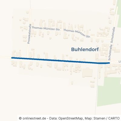 Leitzkauer Straße Zerbst Buhlendorf 