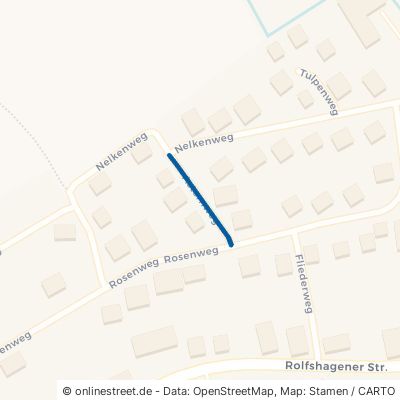 Asternweg Auetal Rolfshagen 