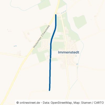 Landstraße Immenstedt 