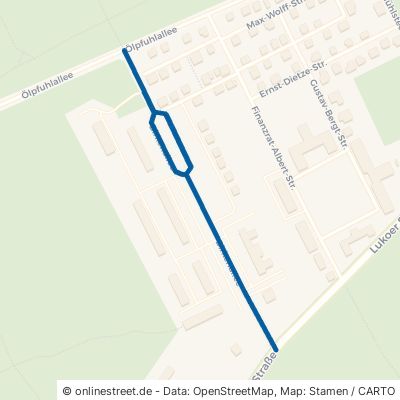 Birkenallee Dessau-Roßlau Roßlau 