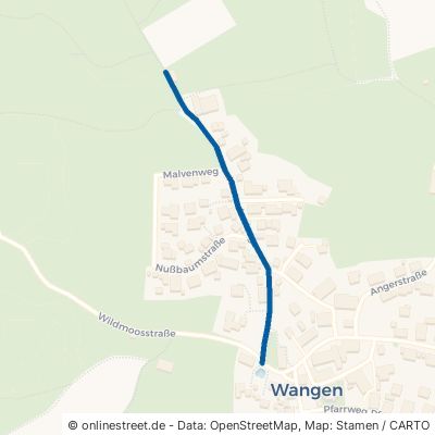 Kastanienweg Starnberg Wangen 
