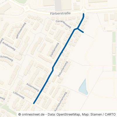 Tulpenweg 61381 Friedrichsdorf 