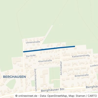 Buchenstraße Bad Berleburg Berghausen 
