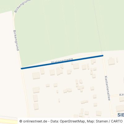 Platanenweg Oranienburg Wensickendorf 