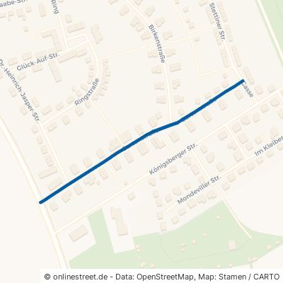 Gartenstraße 38372 Büddenstedt 