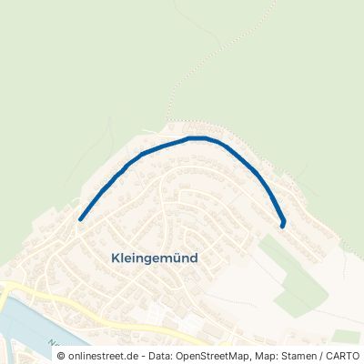 Peter-Schnellbach-Straße Neckargemünd Kleingemünd 