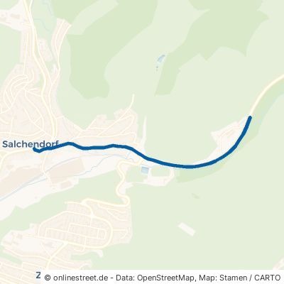 Wildener Straße Neunkirchen Salchendorf 
