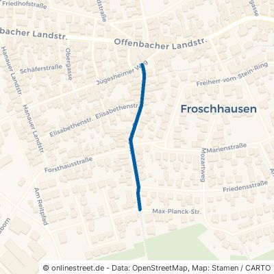 Waldstraße Seligenstadt Froschhausen 