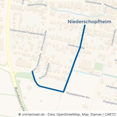 Laugasserfeld Hohberg Niederschopfheim 