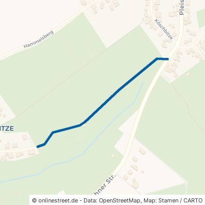 Schuttlochweg Königswinter Pleiserhohn 