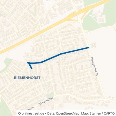 Mittelheggenstraße Bocholt Biemenhorst 