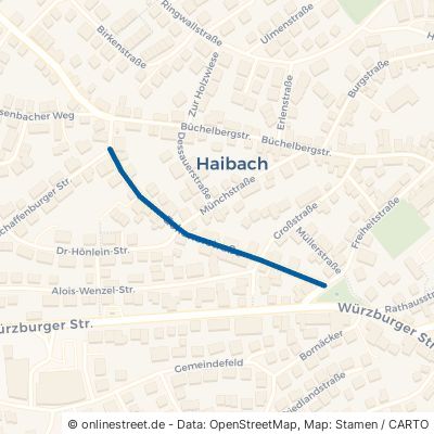 Eckenerstraße Haibach 