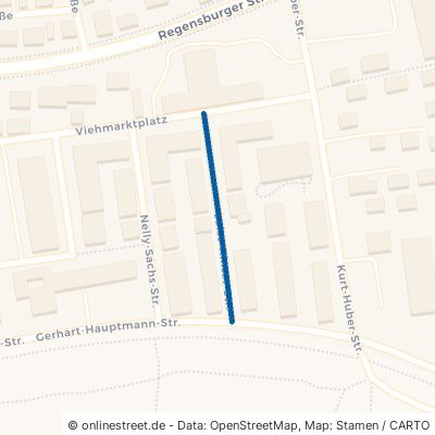 Luise-Rinser-Straße 85055 Ingolstadt Nordost 