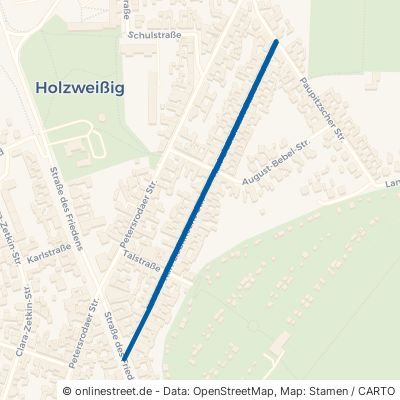Karl-Liebknecht-Straße Bitterfeld-Wolfen Holzweißig 