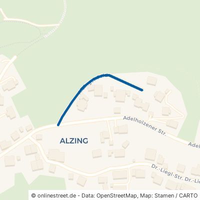 Alzinger Feld Siegsdorf Alzing 