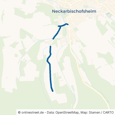 Sinsheimer Straße 74924 Neckarbischofsheim 