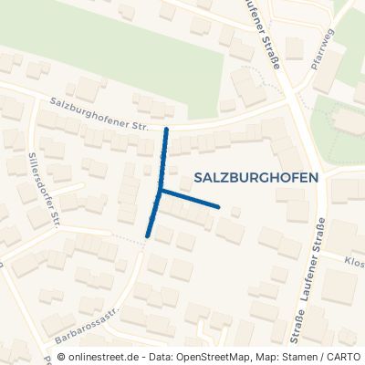 Graf-Lodron-Straße 83395 Freilassing 