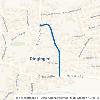 Weihergartenweg 89155 Erbach Ringingen 