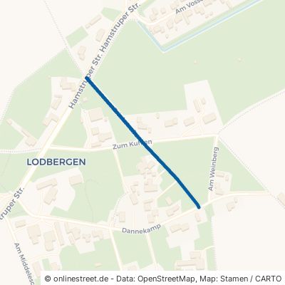 Brinkstraße Löningen Lodbergen 