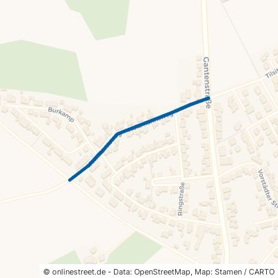 Holtmannsweg 48565 Steinfurt Borghorst 