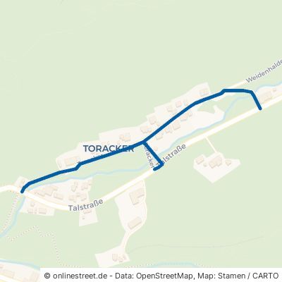 Toracker Isny im Allgäu Bolsternang 