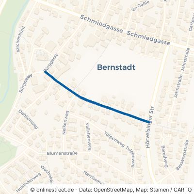 Rosenbühlstraße Bernstadt 