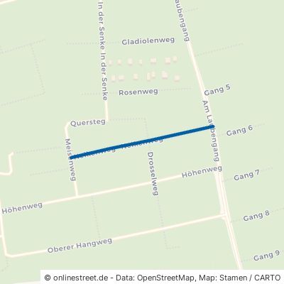 Nelkenweg Chemnitz Altendorf 