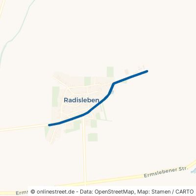 Neue Ballenstedter Straße Ballenstedt Radisleben 