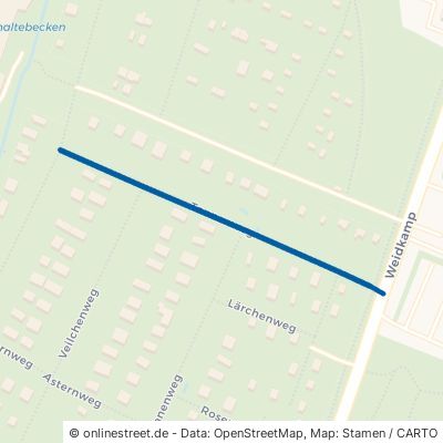 Tannenweg 45356 Essen Borbeck-Mitte 