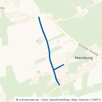 Hoher Weg Stedesdorf Mamburg 