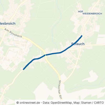 Monschauer Straße Simmerath Strauch 