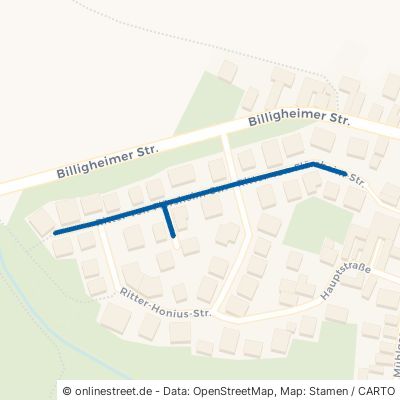 Ritter-Von-Flörsheim-Straße 76865 Rohrbach 