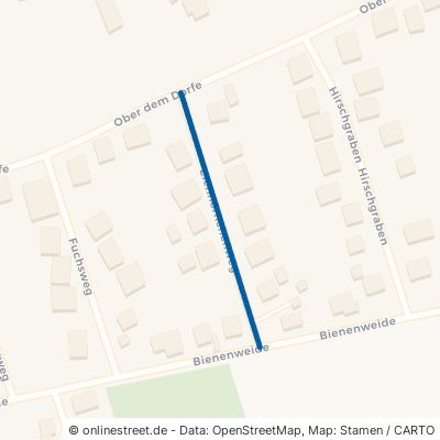 Eichhörnchenweg 31749 Auetal Hattendorf 