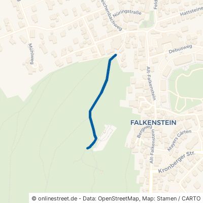 Günter-Boller-Weg Königstein im Taunus Falkenstein 