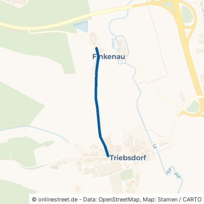 Triebsdorfer Weg Ahorn Triebsdorf 