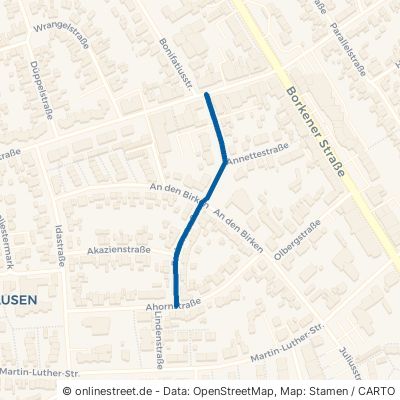 Eschenstraße Dorsten Holsterhausen 