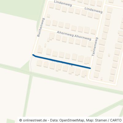 Kastanienweg Sondershausen Jecha 