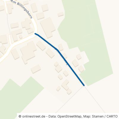 Buenser Weg 37574 Einbeck Strodthagen 