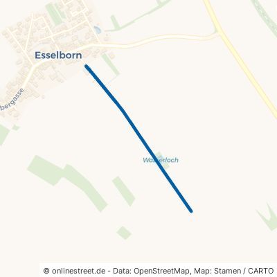 Mittelweg 55234 Esselborn 
