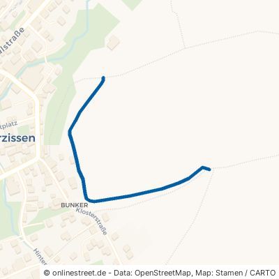 Olbrücker Burgpanorama (Geo M) Niederzissen 