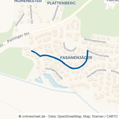 Hochfellnstraße Traunreut Fasanenjäger 