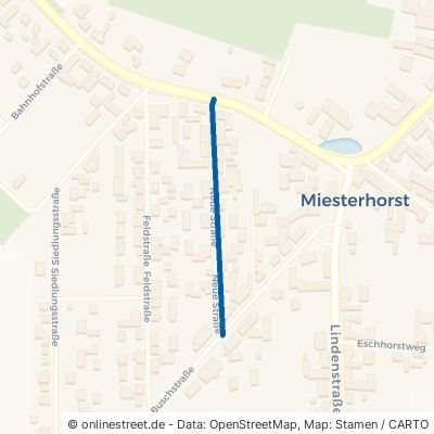 Neue Straße Gardelegen Miesterhorst 