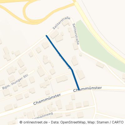 Fürstenweg Cham Chammünster 
