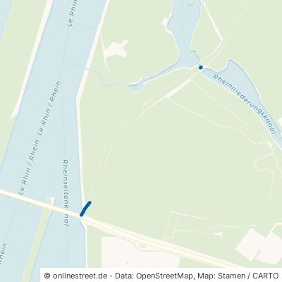 Veloroute Rhein Iffezheim 