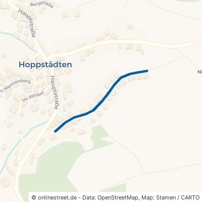 Schulstraße Hoppstädten 