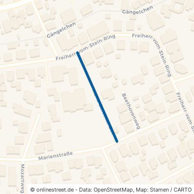 Hans-Gerstner-Straße 63500 Seligenstadt Froschhausen 