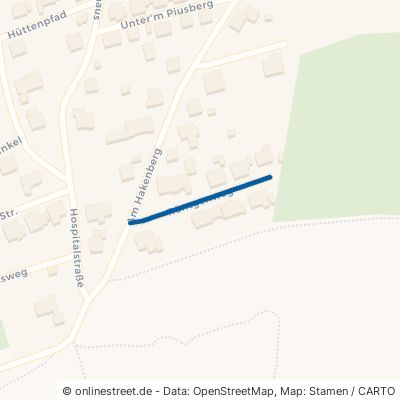 Röntgenweg 59581 Warstein 